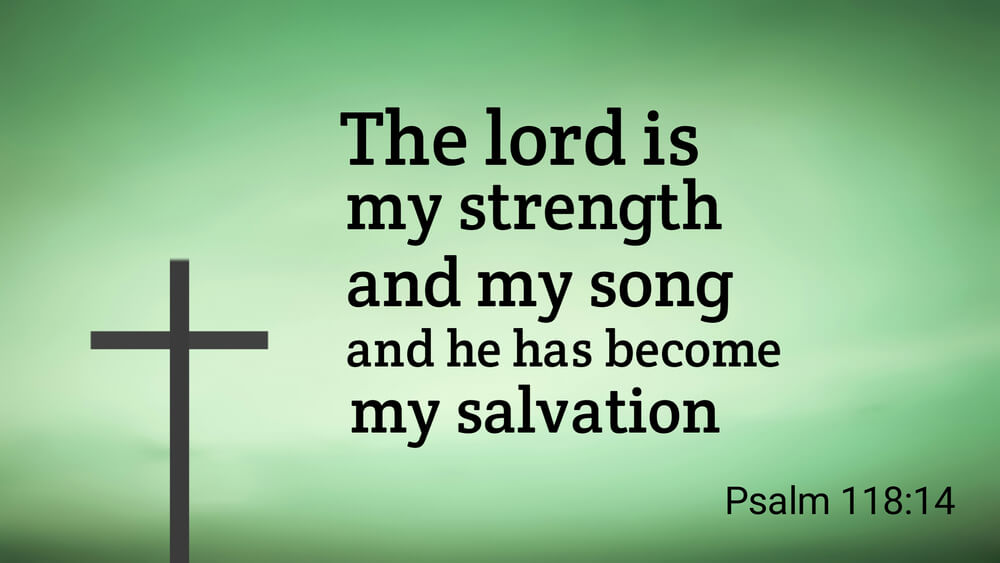 The Lord is my strength and my defense ; he has become my salvation