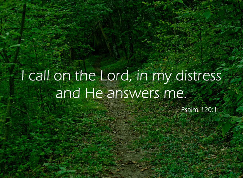 In my distress I called to the LORD, and he answered me.