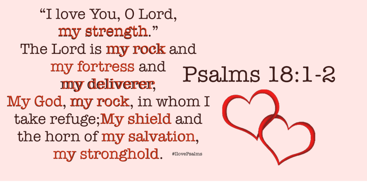 I love you, O LORD, my strength.The LORD is my rock and my fortress and ...