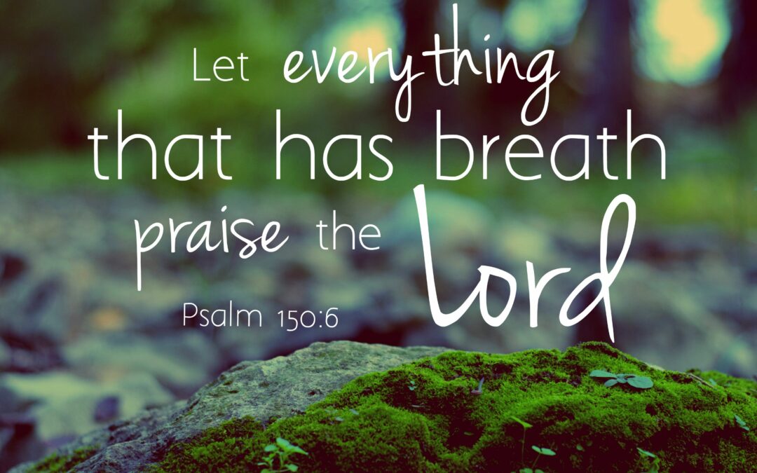 Psalm 150:6